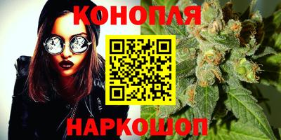 крисы Будённовск