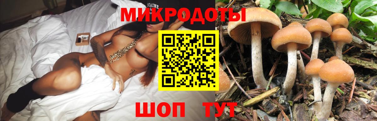 Галлюциногенные грибы Magic Shrooms Карасук