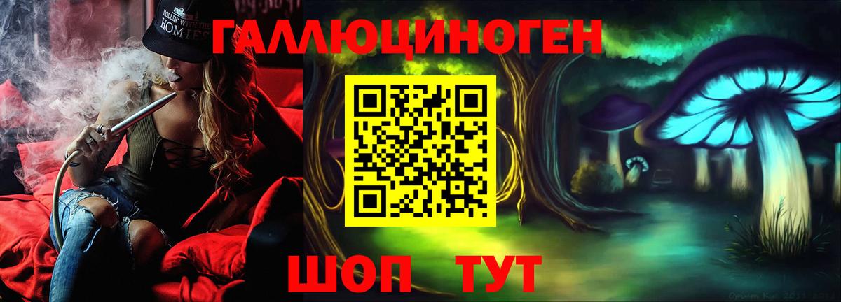 Карасук  Псилоцибиновые грибы MAGIC MUSHROOMS  Вход с VPN  Галлюциногенные грибы Psilocybine cubensis 